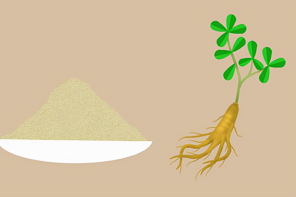 三七粉的功效可以通血管吗,常喝三七粉对血管有伤害吗