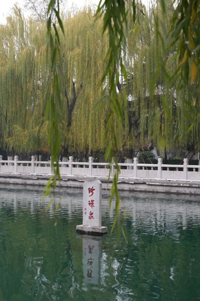 济南名士多网络科技有限公司,济南名士多茶业