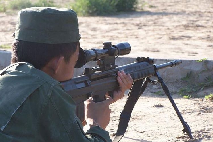 中国最新型精准射手步枪,中国陆军精准射手步枪