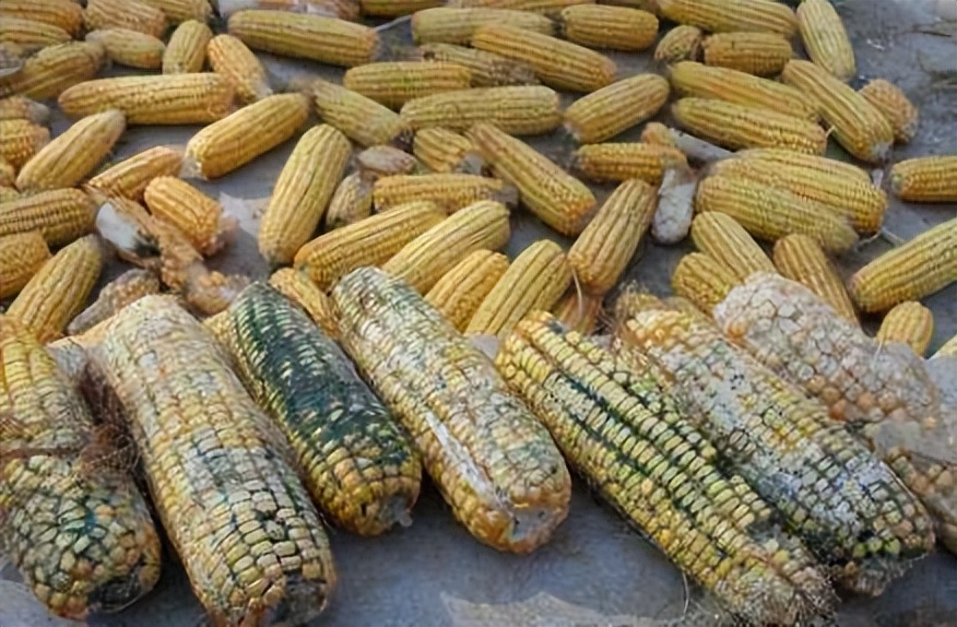 癌症晚期应该放弃还是继续治疗,癌症晚期需要治疗还是放弃回家