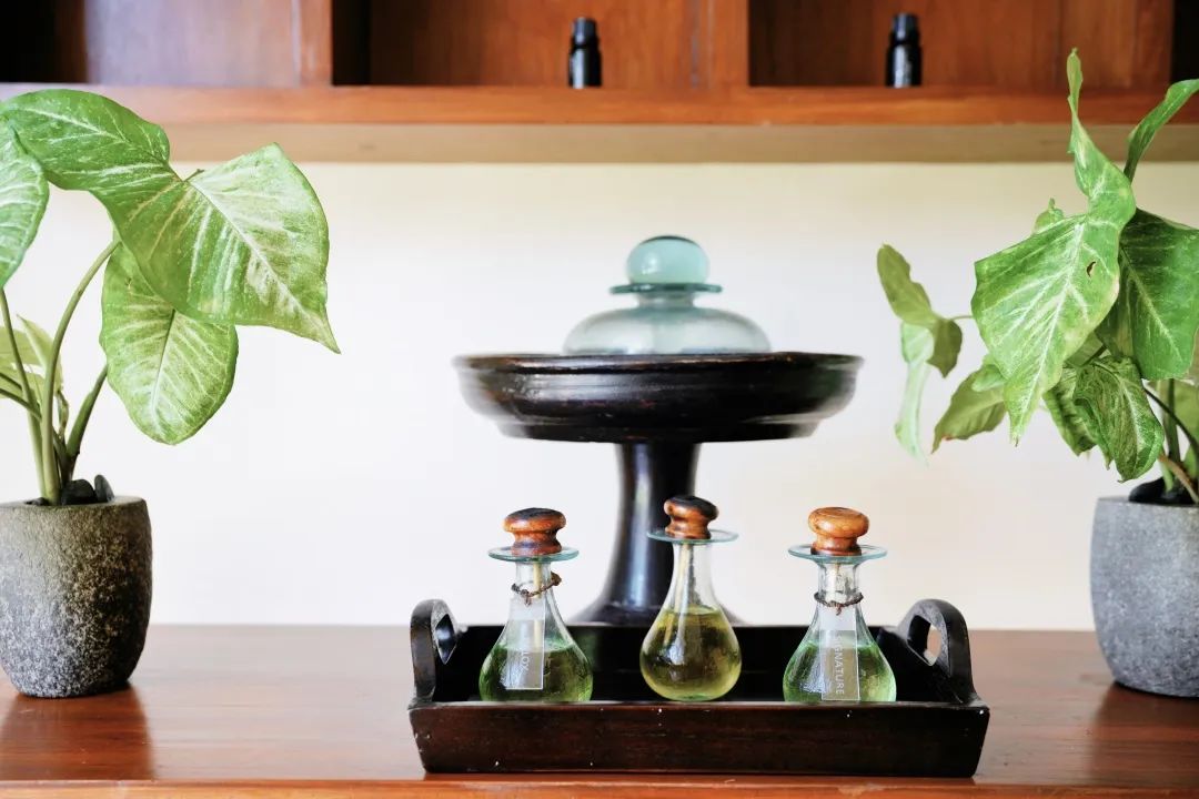 这可能是全球性价比最高的一家阿丽拉