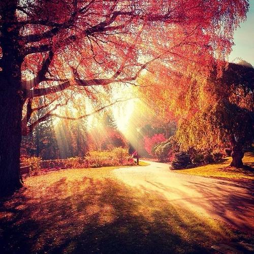 中考作文坚韧勇敢,中考作文勇敢坚韧