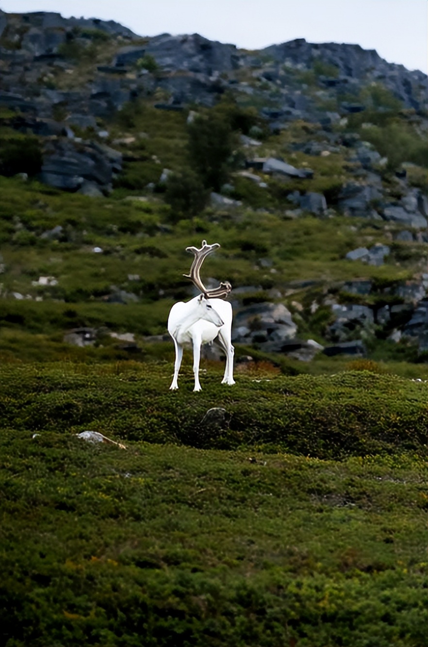 如何走出自己的迷茫和悲伤,越来越迷茫不知道自己该怎么办