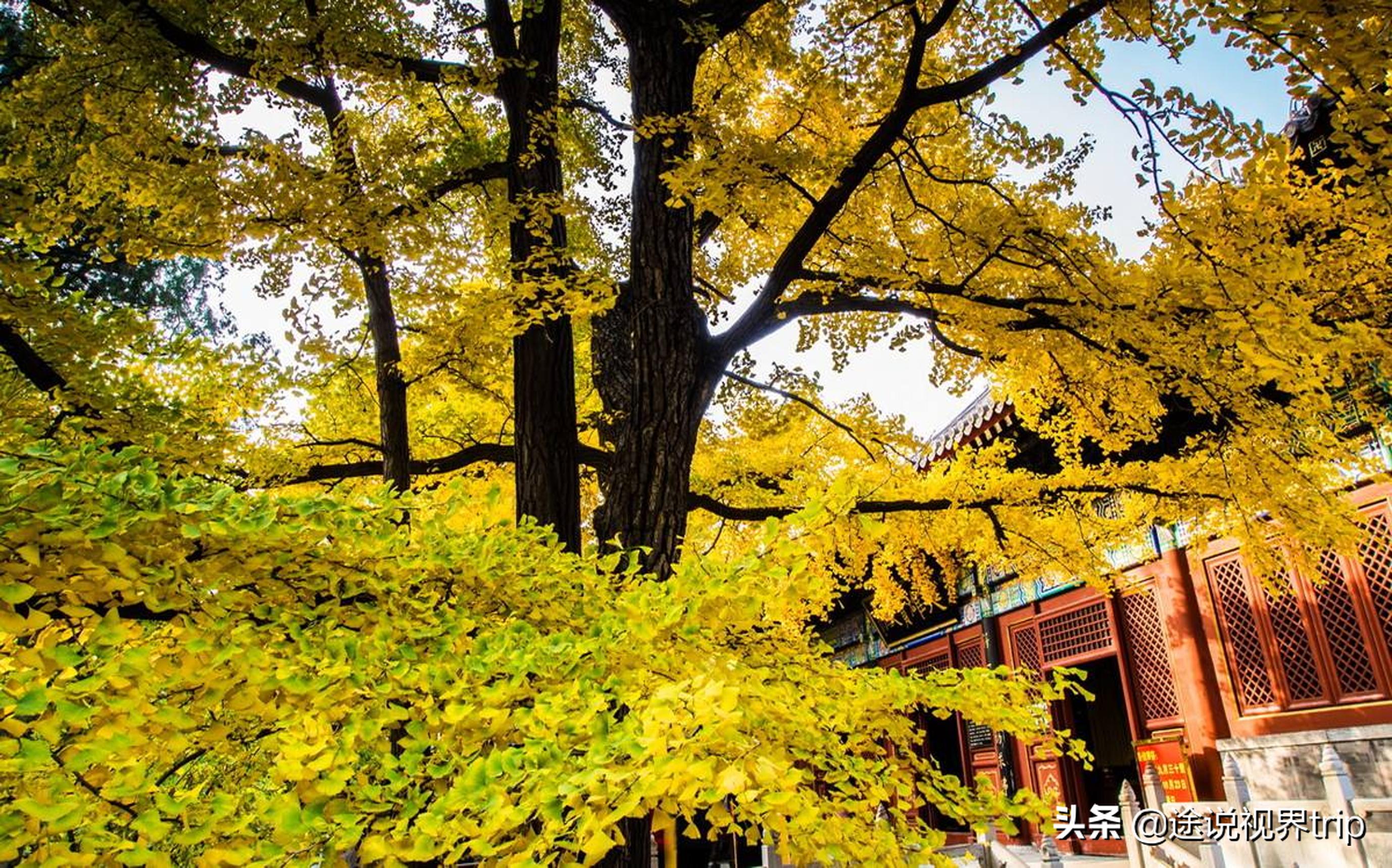 中国十大最有名的求子寺院,有伴侣适合去的祈福寺庙