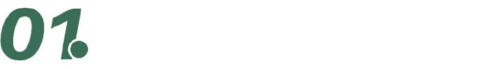 梵波国产精酿啤酒,梵波精酿啤酒