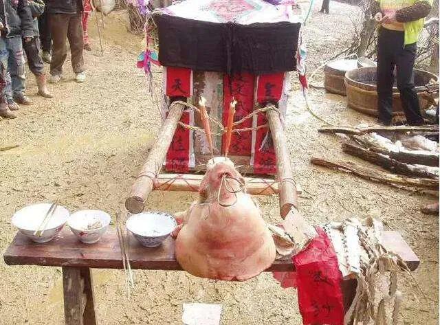 在细雨中呼喊小说,在细雨中呼喊深度解析