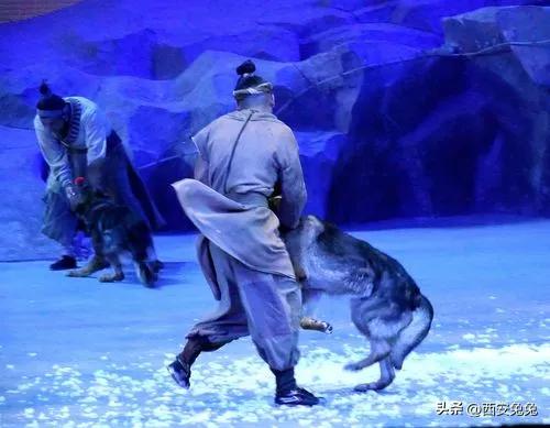 西安演出千古驼铃,西安最值得看的演出驼铃传奇