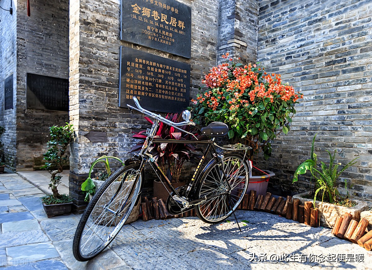 凤凰自行车一年营收,凤凰自行车去年上半年营收