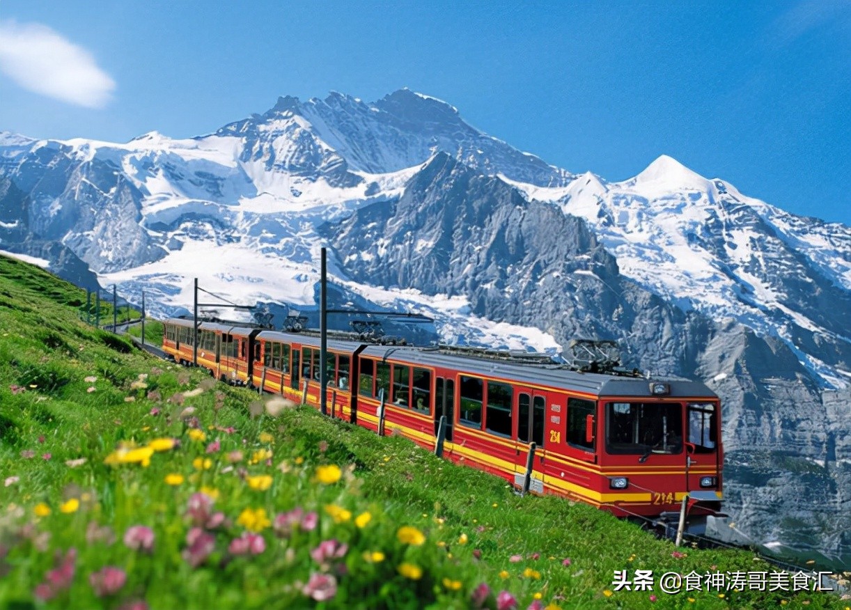 瑞士人每天吃什么,瑞士人平常都吃啥饭