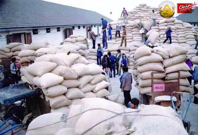 “广西第一贪”的特殊喜好，将发生性关系的女人们照片锁进密码箱