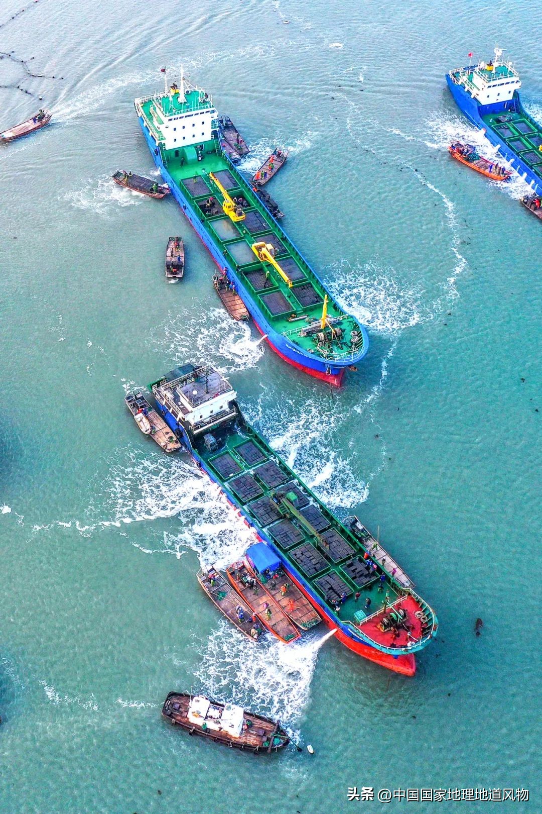 现在的海鲜什么比较好吃,中国哪的海鲜比较好