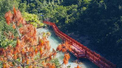 珠海市团建旅游,珠海团建去哪儿