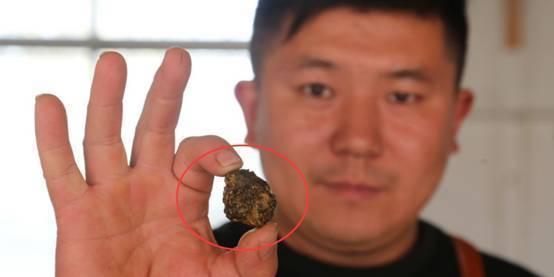 烧烤店羊宝卖多少钱,江苏一烧烤店