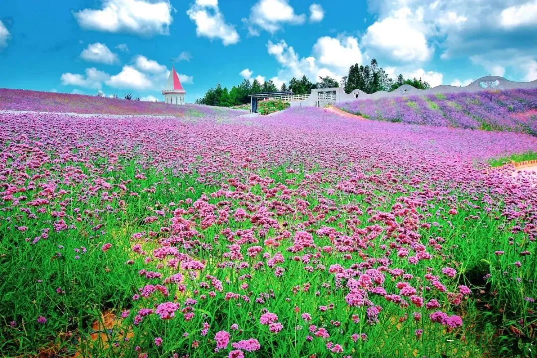 湖北恩施夏季热吗,湖北恩施人间仙境图片