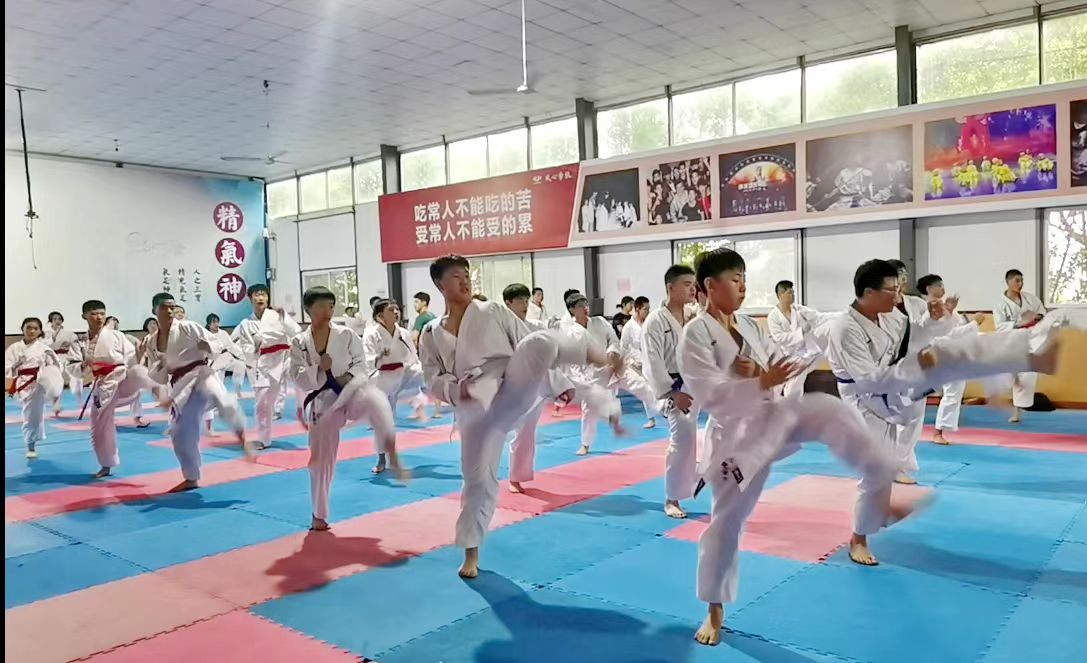 有没有专业武术培训的地方,江桥武术培训