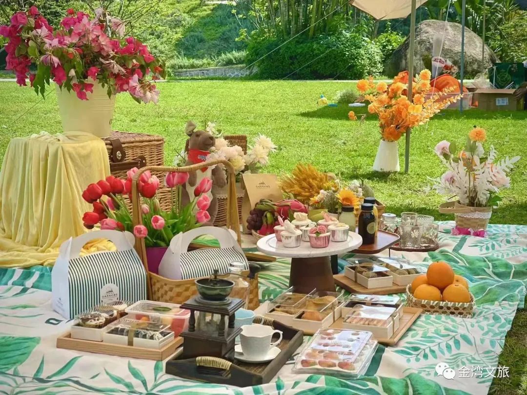 划艇露营,划艇露营视频大全