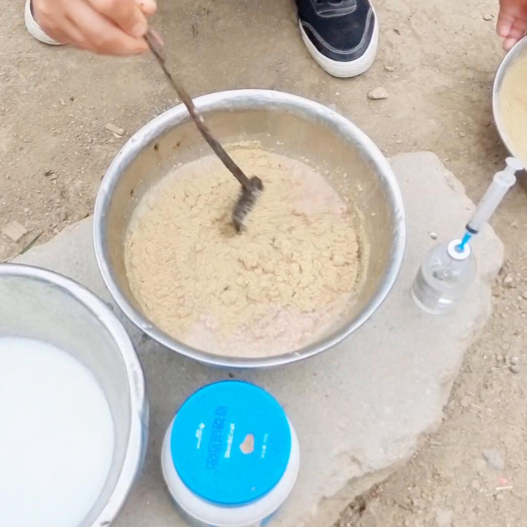 阿拉斯加幼犬三个月喂养标准,阿拉斯加幼犬刚刚到家怎么喂养