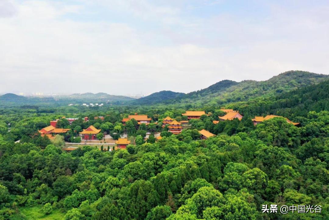 五一，光谷这些地方可以露营，还可以赏花、登山、看展……