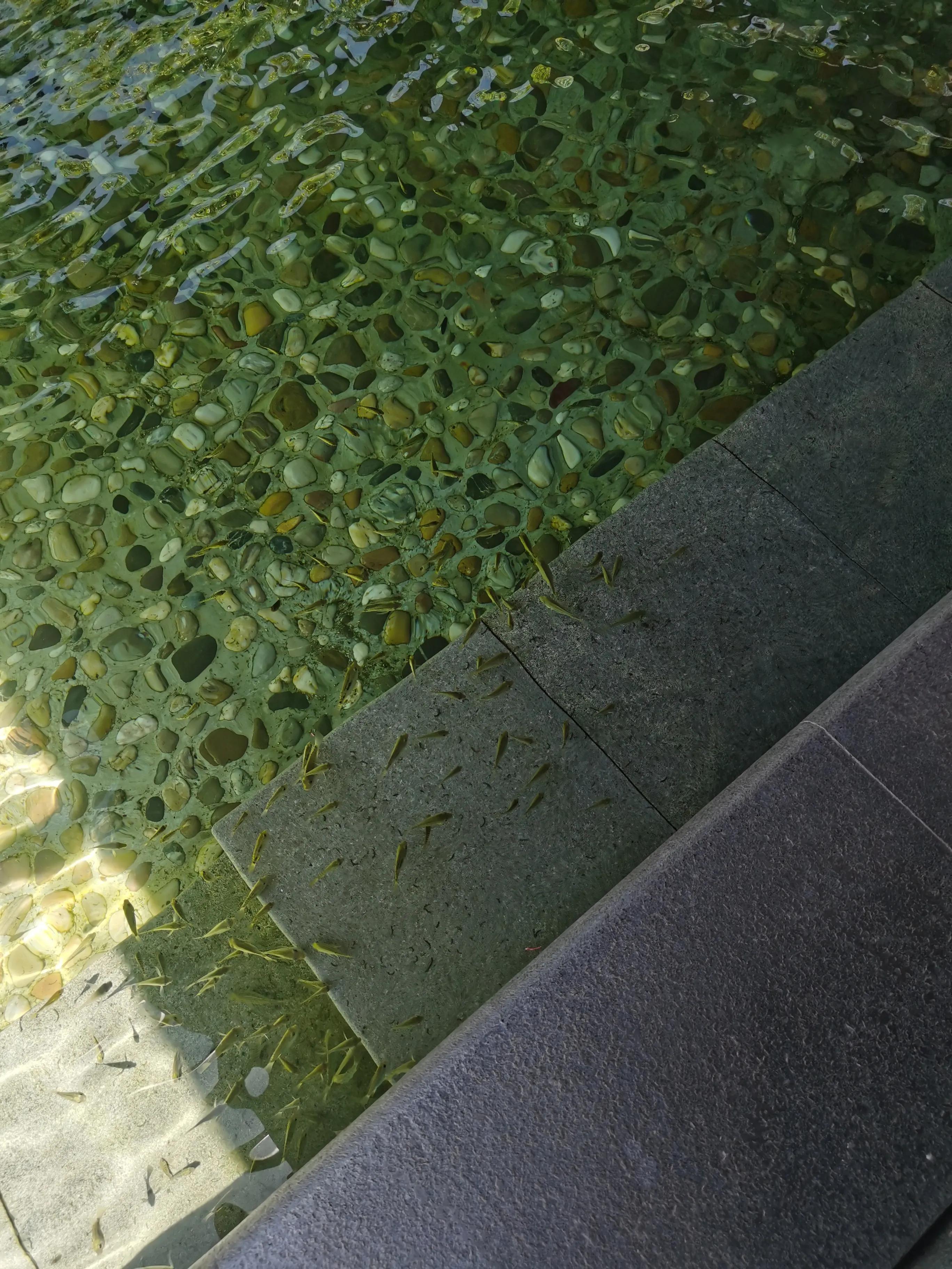 一元钱泡个温泉真舒服