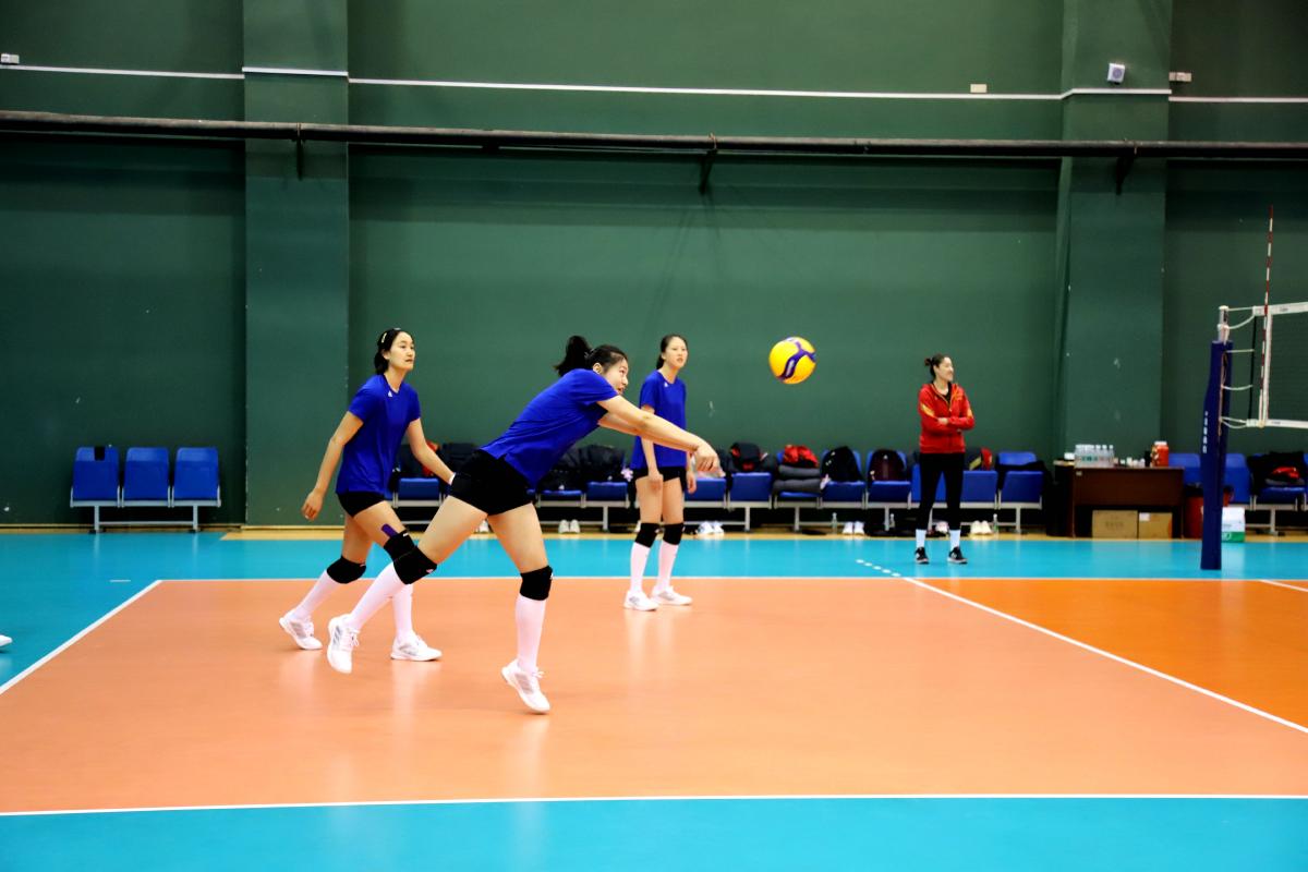 北京女排教练刘晓彤,北京女排领队刘晓彤