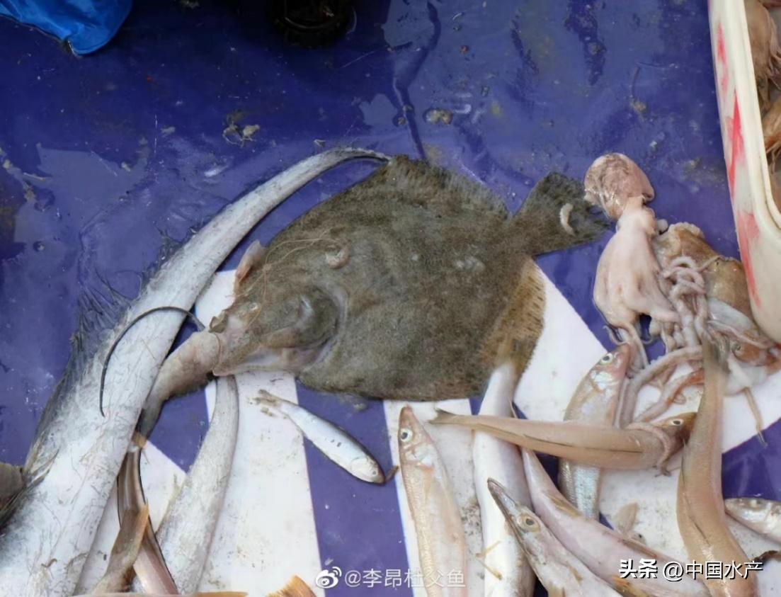 水生外来物种入侵防控工作方案,水生动物防疫