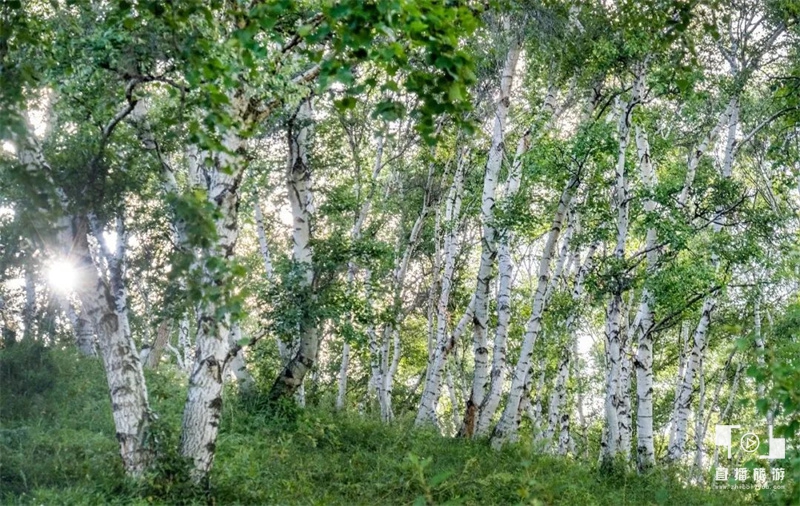 黄花沟旅游攻略10月份吃什么,黄花沟旅游攻略