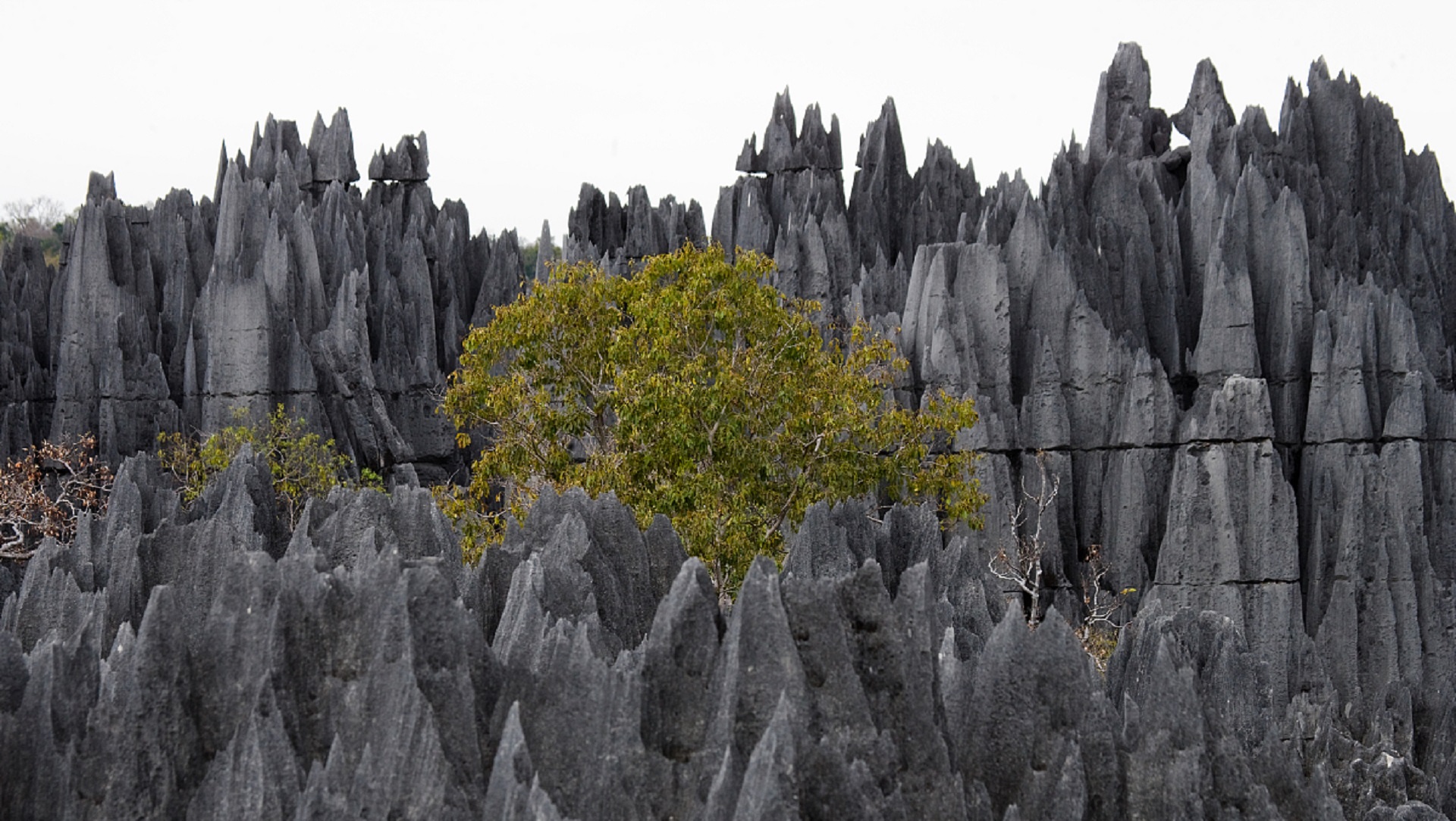 震撼的世界奇观,世界真实景观奇迹