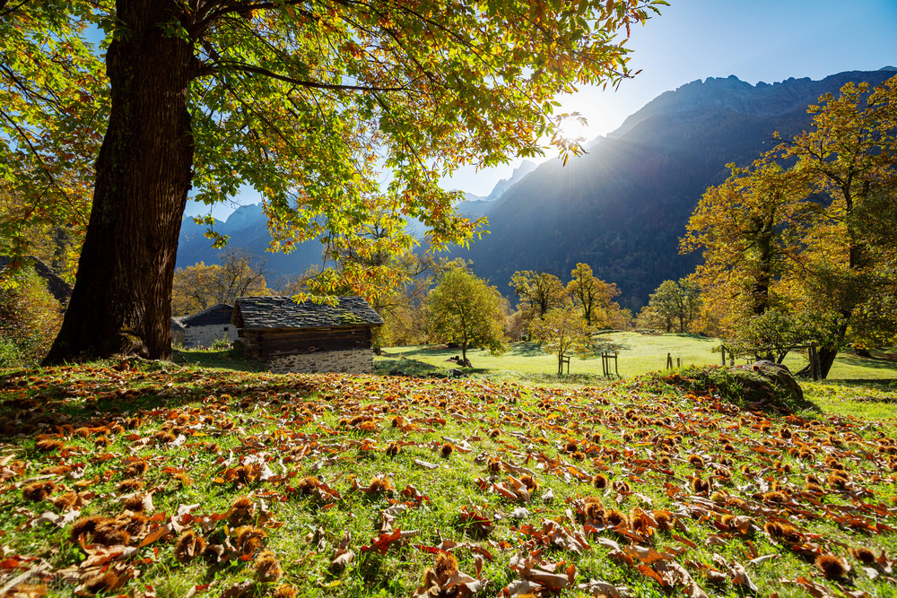 糊涂是一种心态一种做人的智慧,做人糊涂一点也是一种修行