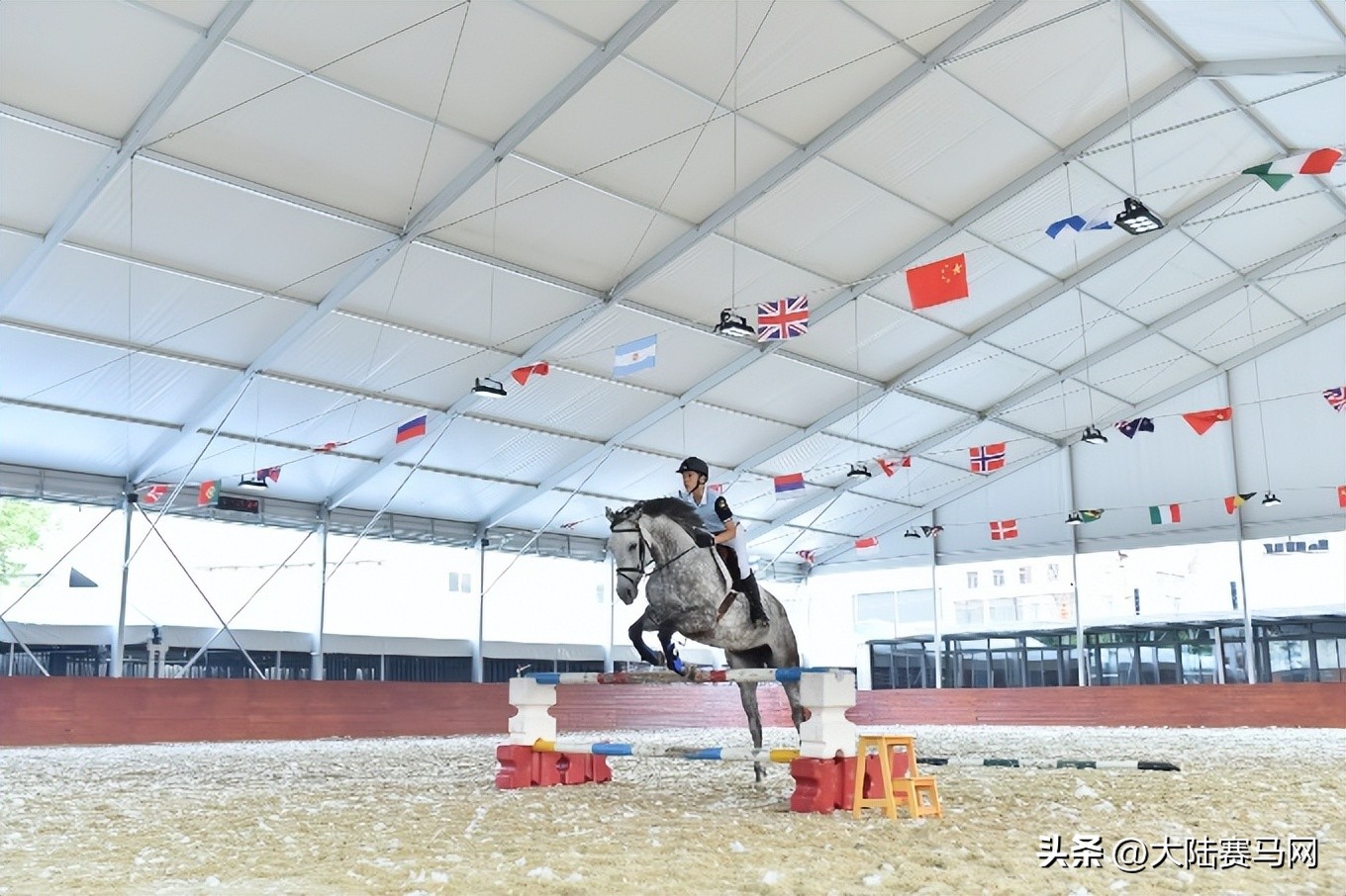 上海爱久马术俱乐部崇明店,上海爱久马术俱乐部马匹寄养
