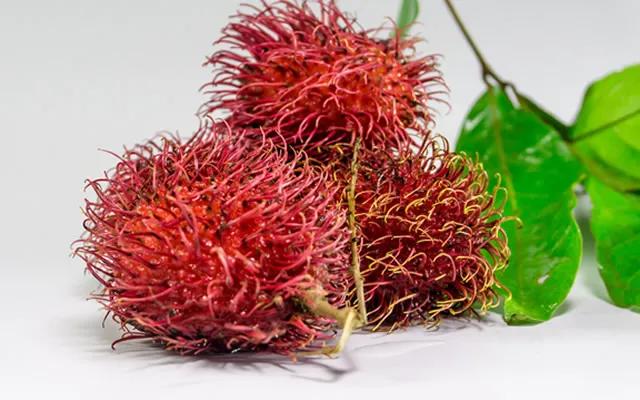 进口水果当季热卖,冬季进口水果大全