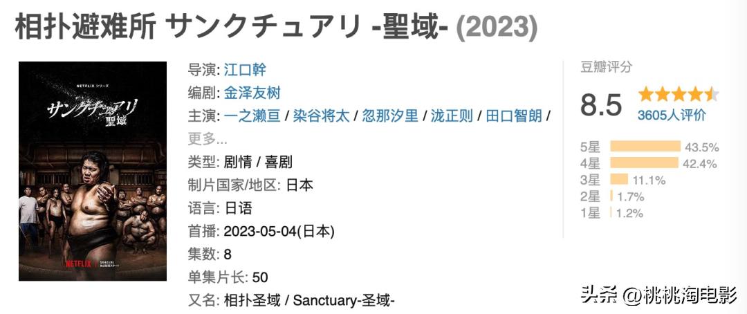 6个月过去了，这些好剧我们不该忘记