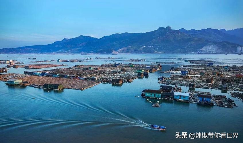 宁德大黄鱼之乡攻略,霞浦大黄鱼之乡图片