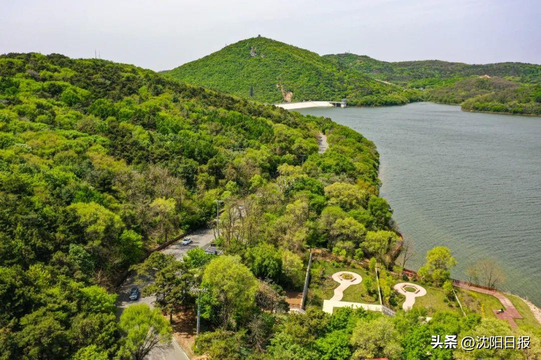 沈阳周末户外遛娃好去处沈北,沈阳适合开春遛娃的公园