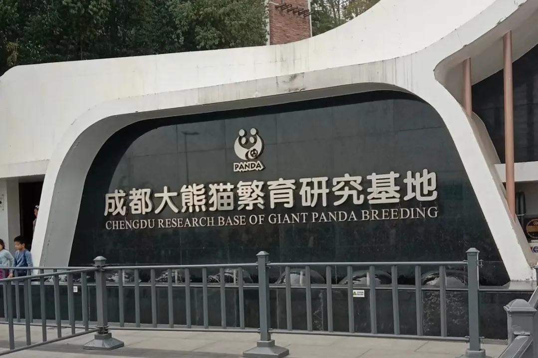 品尝川菜与领略川渝文化,品尝了一年四季的成都美食