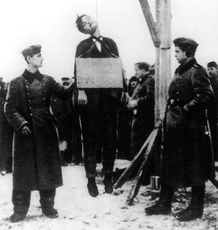 被诅咒的士兵免费观看完整版,德军332团幸存者