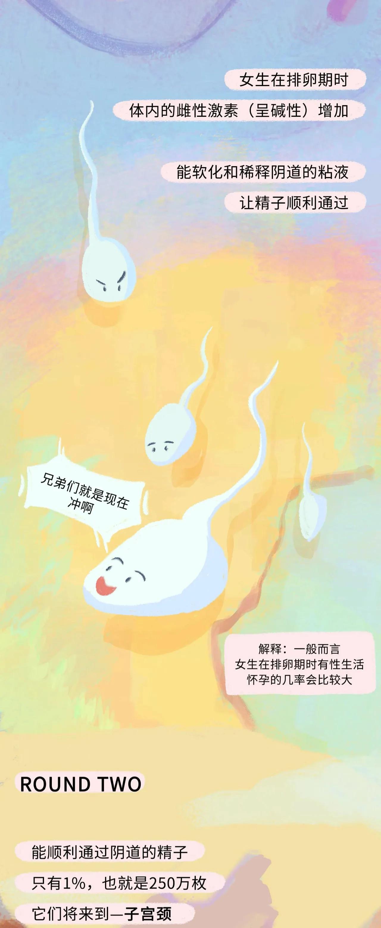 精子进入女生体内的全过程