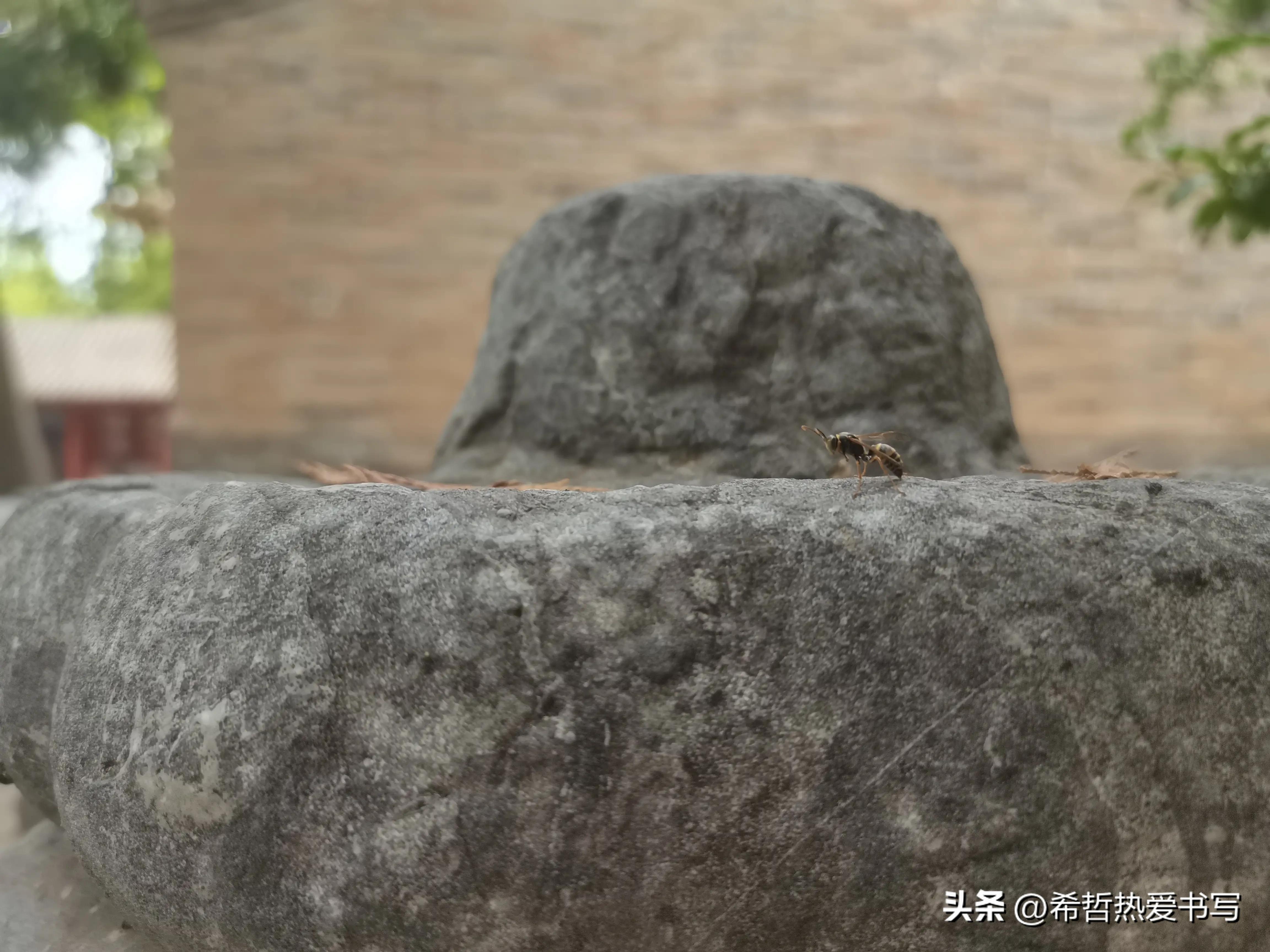 中国四大书院之一嵩阳书院,嵩阳书院应天书院和白鹿洞书院