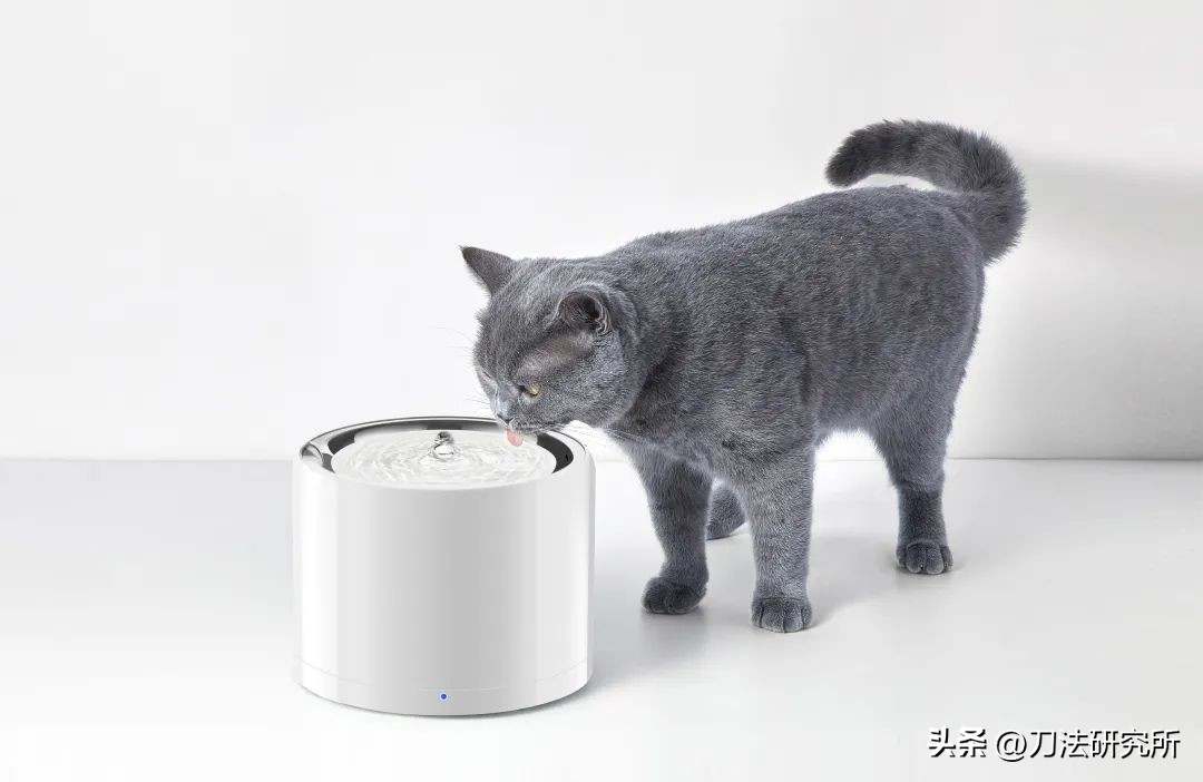 独家专访桂雨濛,独家专访2019