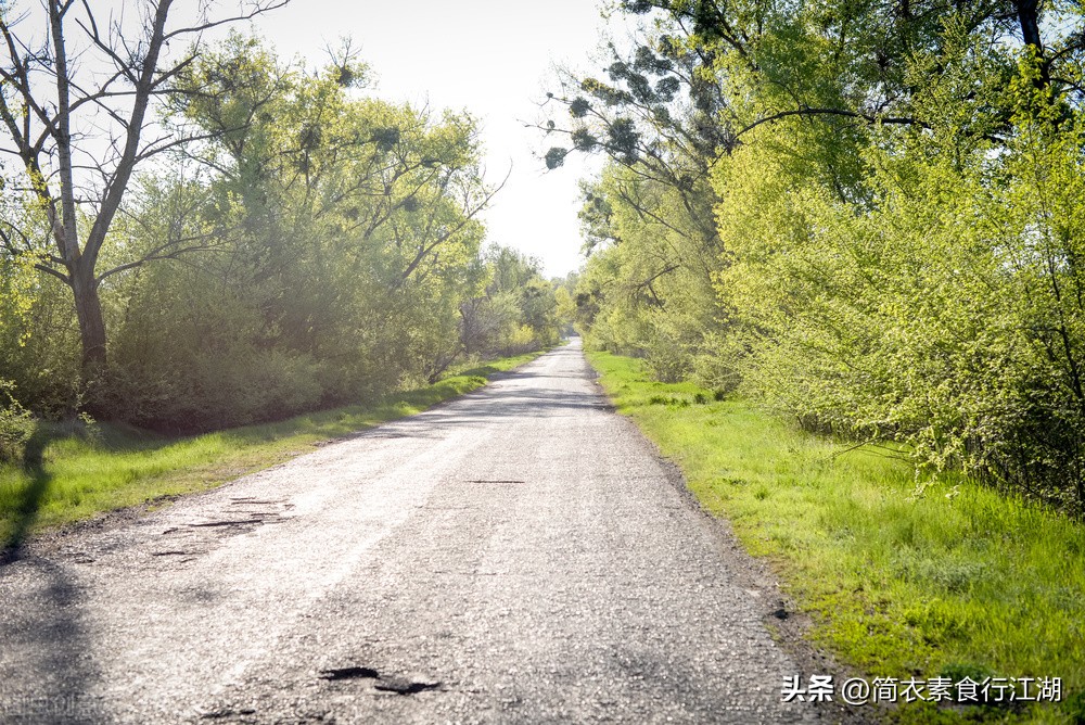 她做保姆这些年之豪门生活完整版,她做保姆这些年之豪门生活全集
