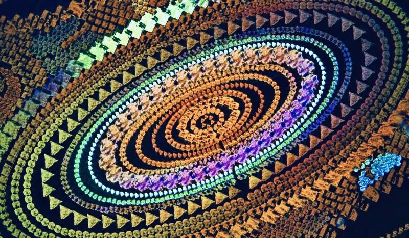 显微镜图像与真实图像,22张罕见的显微镜照片