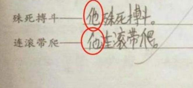 超懒小学生,最懒小学生作业走红