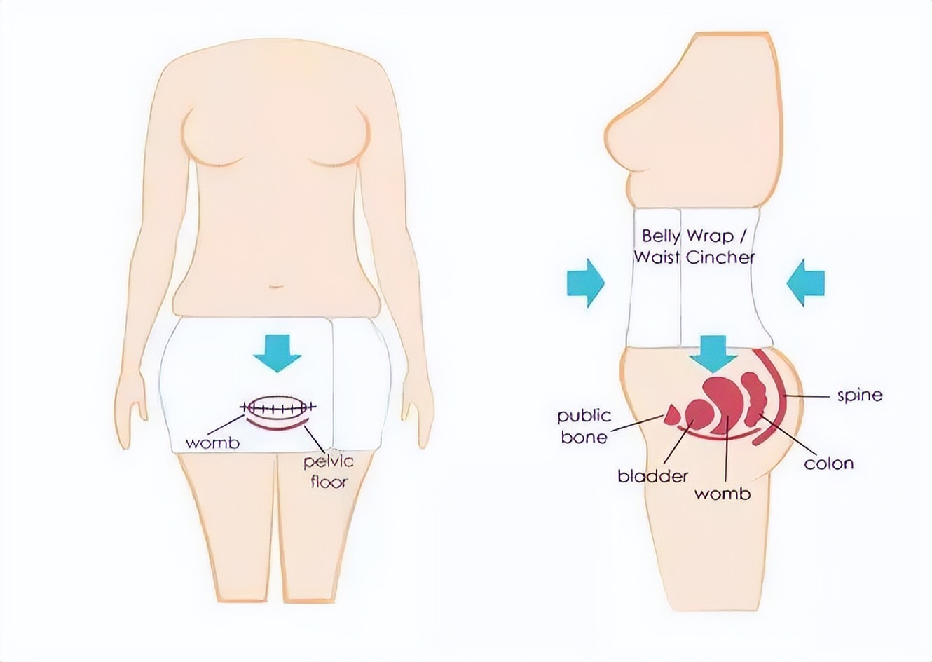 卷腹辅助带用法,绑束腹带全教程