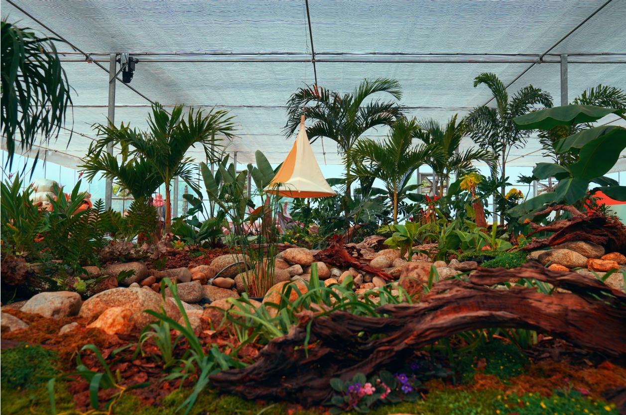 楚·绣园：花艺业态亟需整合创新，“花店+”闭环服务破解难题