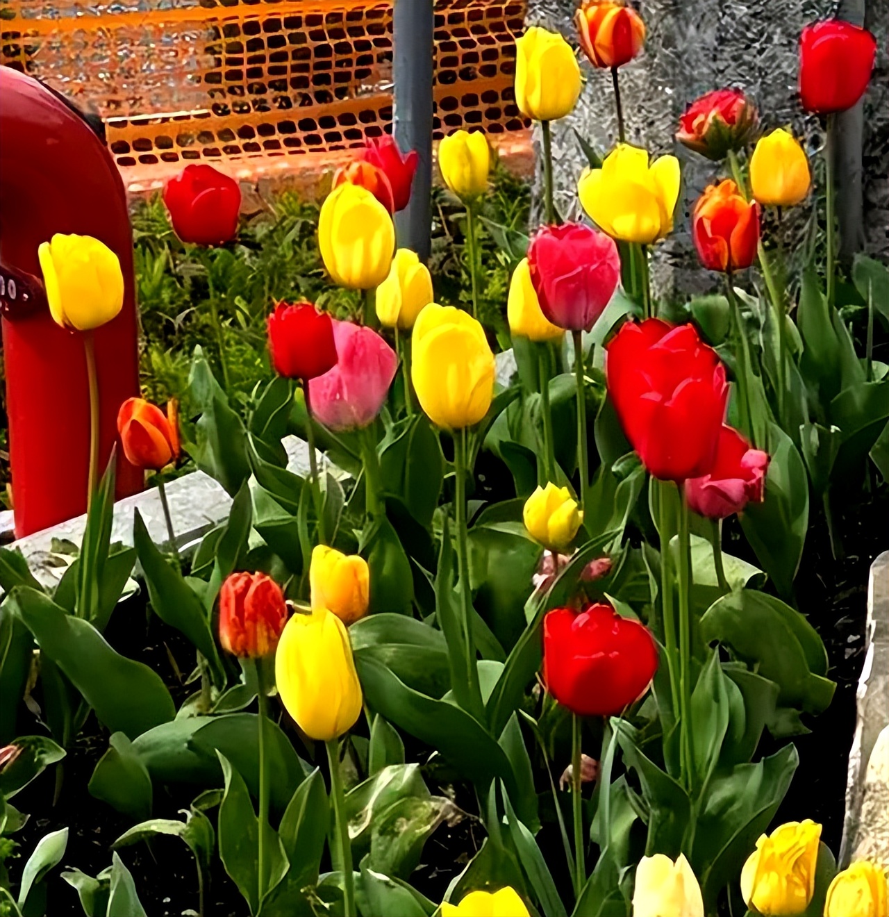 16岁李嫣疑交男友，奢侈品购买狂潮引发家庭危机，男友当苦力