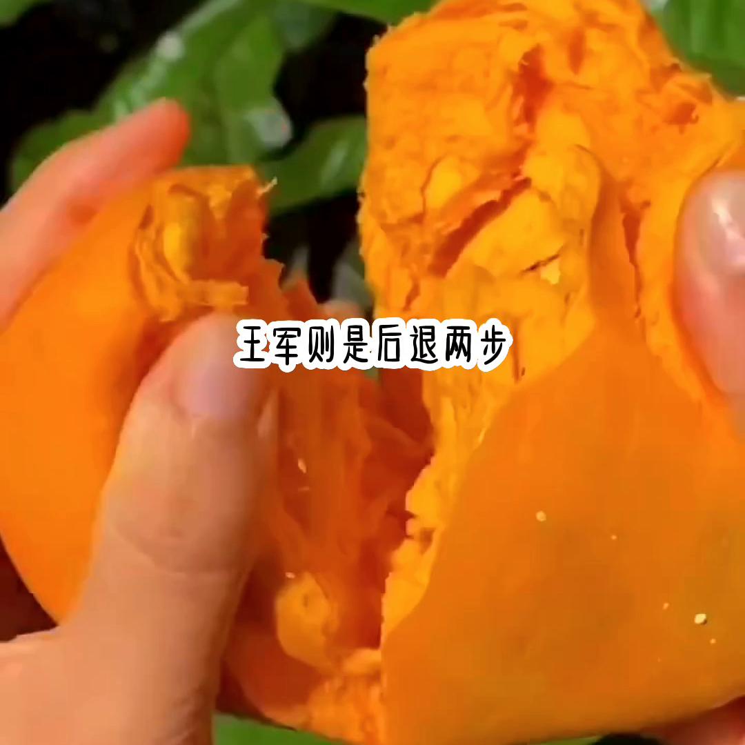 名《念念无言》@DOU+上热门