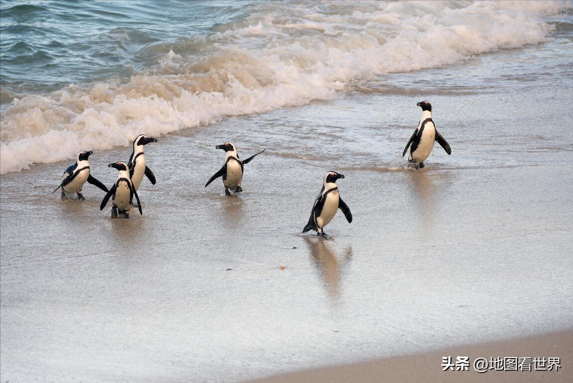 南非是个什么样的国家,南非是一个什么的国家