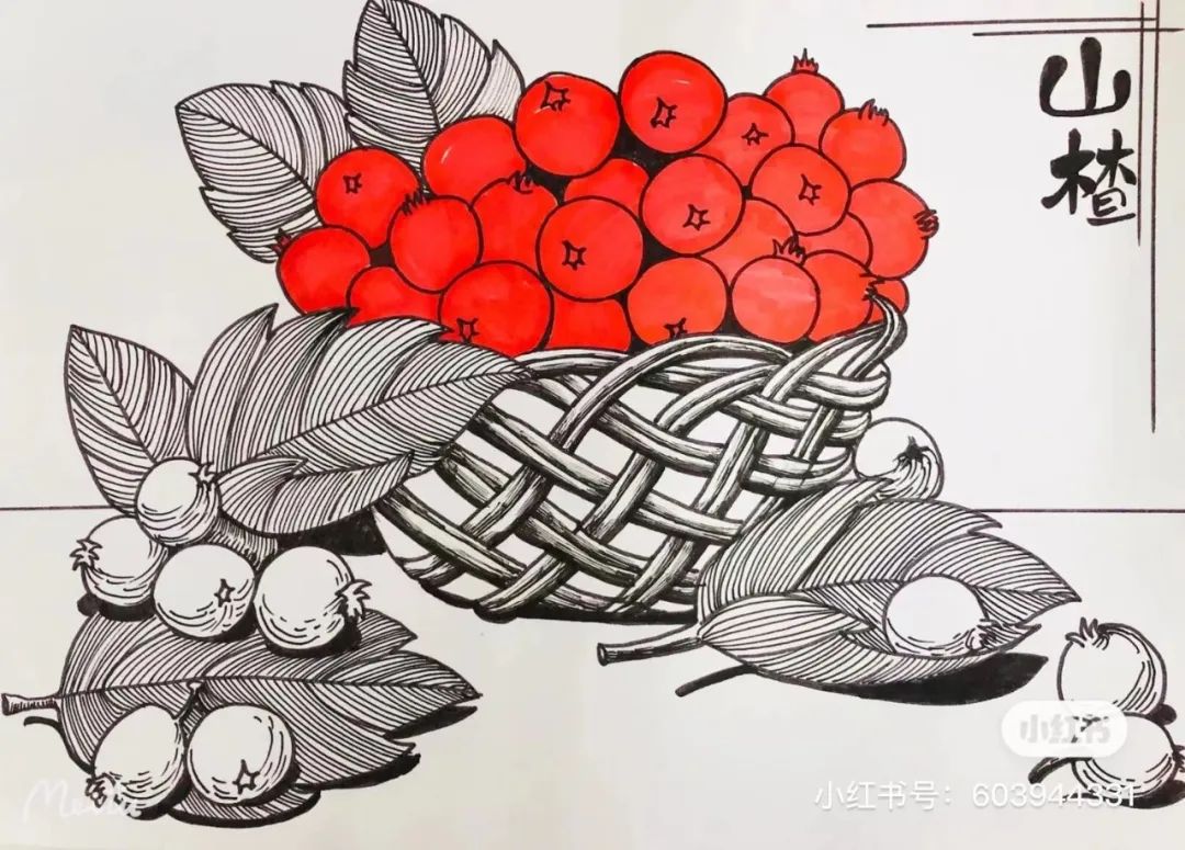 针管笔画线条练习,针管笔黑白装饰画线描