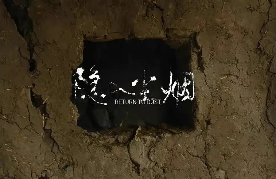 关于驴的电影大全,关于驴的电影解说