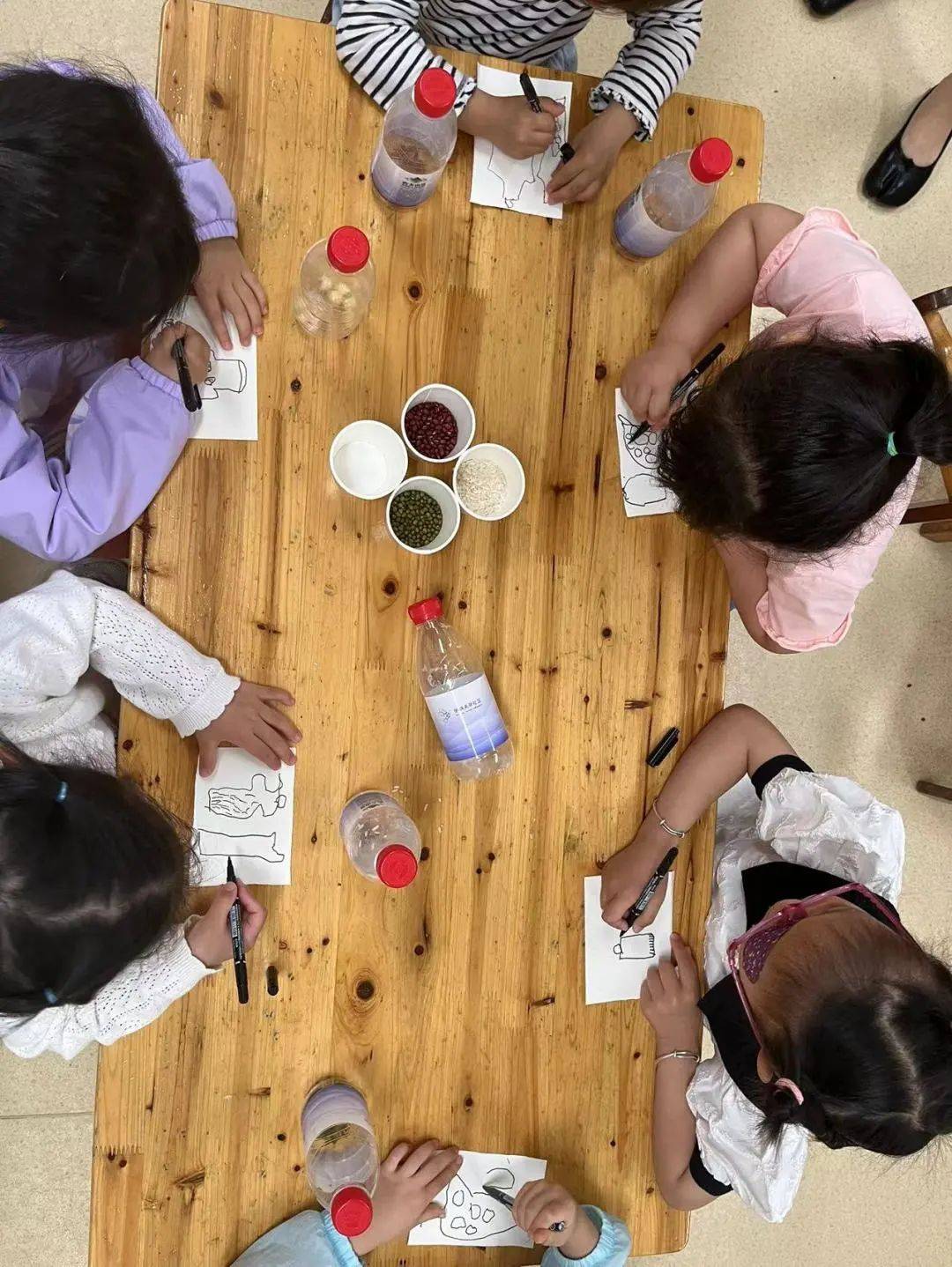 幼儿园感官游乐园主题,幼儿园感官游乐园主题课程