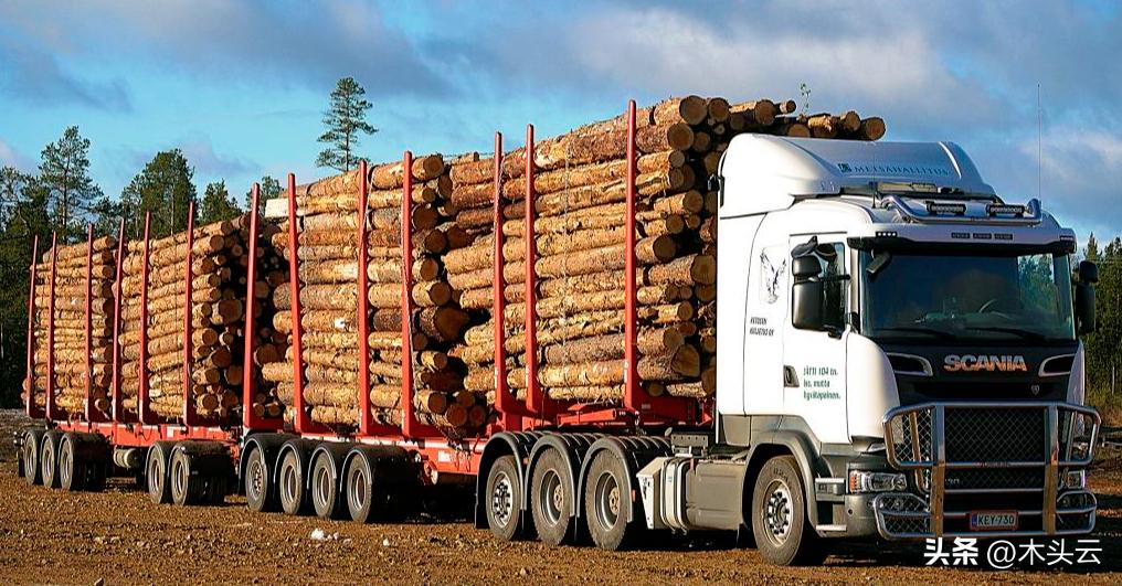 喀麦隆木材贸易,喀麦隆扩大原木出口限制